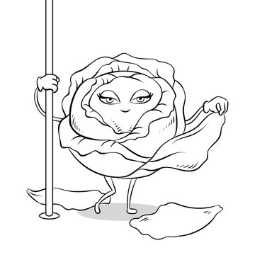 recommend clip art: Cabbage pole dancer coloring PNG illustration