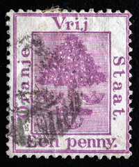 Ukraine, Kiyiv - February 3, 2024.Postage stamps from ORANGE RIVER COLONY.1868 postage stamp depicting Orange Tree, symbol of Colony. Orange Free State was an independent republic.Philately.