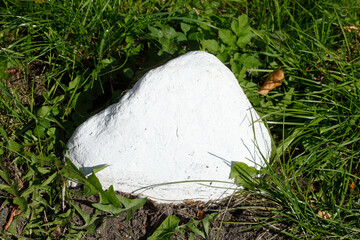Weisser Stein auf einer Rasenfläche liegend, Deutschland
