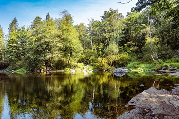 Beautiful view of a forest and a small lake