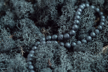 Lava Beads Draped Over Reindeer Moss. Strand of black lava beads elegantly placed on a bed of reindeer moss