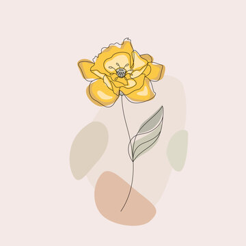 Hand drawn flower in vector. Line art illustration.