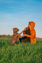 Young beautiful woman playing in a green meadow with her pet Weimaraner breed dog. Braco de Weimar enjoying a beautiful warm and sunny day as best friends. - 781240121