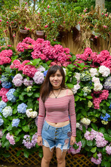 Taiwan May 16, 2018: Taiwanese June blooming hydrangeas and a young Asian girl in the garden