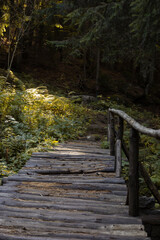 wooden bridge in the woods