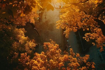 Golden Sunset Over Trees in a Serene Autumn Landscape