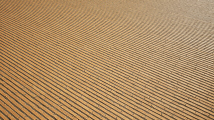 Fototapeta premium Concept or conceptual vintage or grungy brown background of brick slate texture floor as a retro pattern layout. A 3d illustration metaphor for construction, architecture, urban and interior design