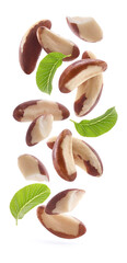 Brazil nuts flying on white background