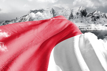 Monaco national flag cloth fabric waving on beautiful ice Mountain Background.