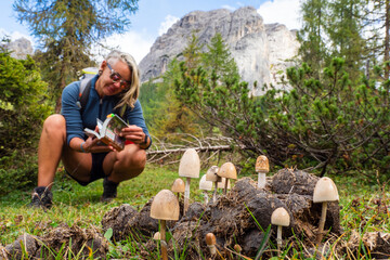 Female mushroom forager foraging for wild edible mushrooms with Mycelium and fungi identification book  