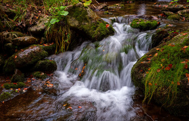 Fototapeta na wymiar Waterfall stream in the forest