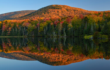 Forest lake in autumn. Autumn lake in the mountains