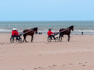 Deauville, France April 5, 2023. Race horses on the beach during training, two horses with jokes....