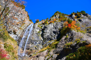 紅葉　ふくべの大滝　絶景　白山白川郷ホワイトロード　秋　石川県　白山市　滝　自然