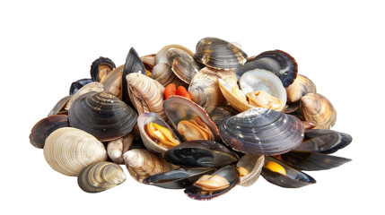 Authentic New England Clam Bake on transparent background.