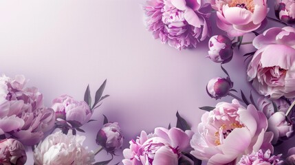 Beautiful Peony Flowers on Purple Background with Copy Space for Text and Design, Floral Composition for Cards and Posters