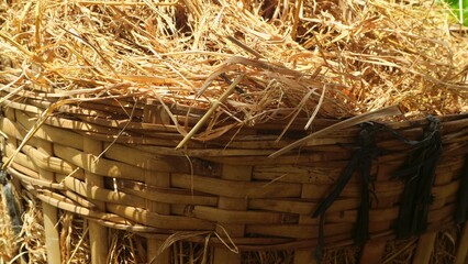 pile of hay in a bamboo basket