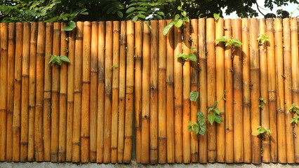 Obraz premium Bamboo Fence with Lush Green Plants