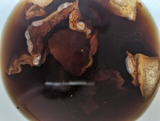 Wild mushrooms put in water to hydrate