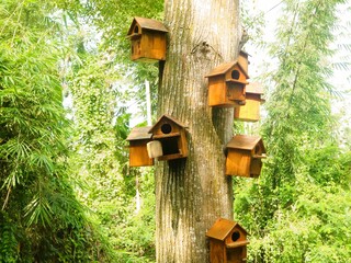 A wooden house made of old boards for a squirrel or bird on a tree trunk in a forest or park. Animal care, environmental protection. Birdhouse for nest formation. Environmental protection.