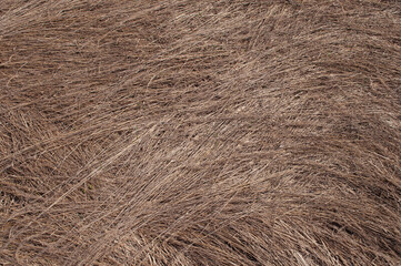 Brown dry grass lying on a meadow