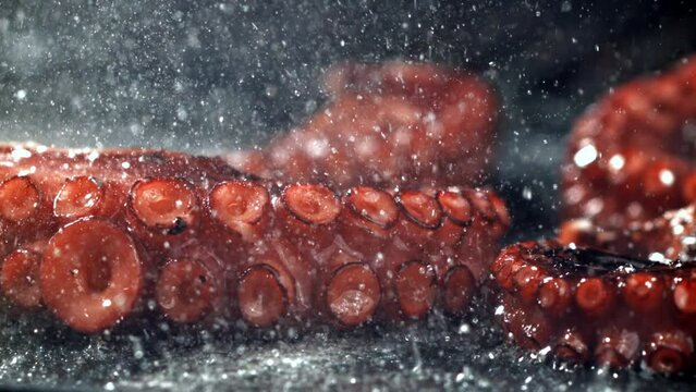 Super slow motion Fried octopus tentacles. High quality FullHD footage