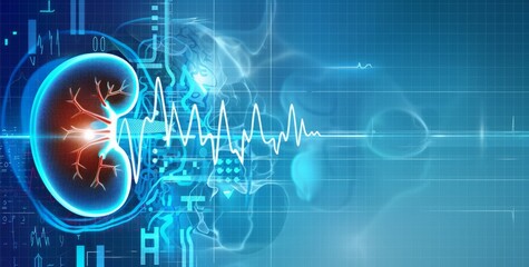 Digital kidney with heartbeat line on medical backdrop, Anatomy, healthcare, medical concept