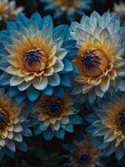 blue dahlia flowers close-up from Generative AI