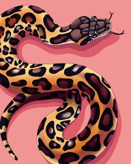 Vector snake with leopard print on pink background . Ready made poster design in trendy bright colours and modern design