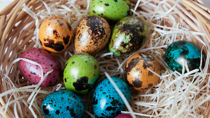 Easter quail eggs in a basket. Easter composition. Holiday concept.