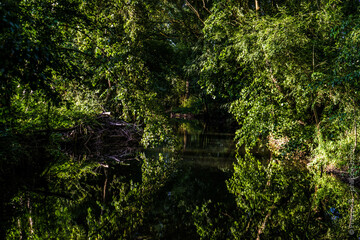 fleuve charente