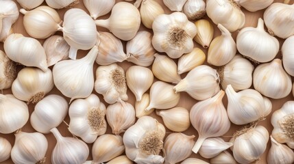 White garlic texture. Fresh garlic on market table closeup photo. Vitamin image of healthy food seasoning. Image of spicy food ingredients. Pile of white garlic heads. Top view of white garlic he
