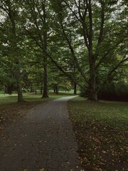 path in the park
