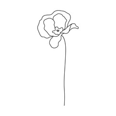 Hand drawn flower continuous line drawing vector illustartion