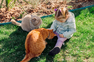 Beauty child girl feeding her cats in backyard garden - 781298577