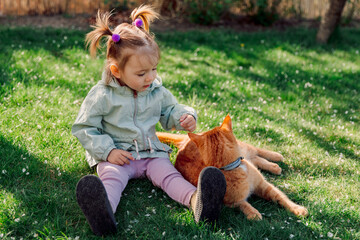 Little child girl sitting on lawn and playing with ginger cat