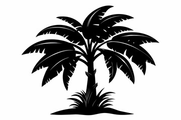 banana tree silhouette black vector illustration