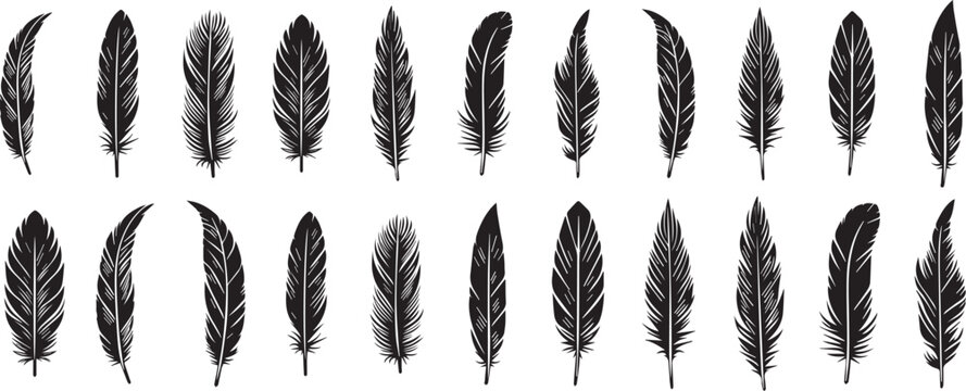 Fototapeta feather vector icon on white background