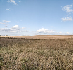 Grasslands under the sun