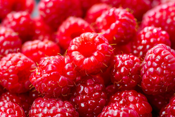 Ripe and tasty raspberries in close-up