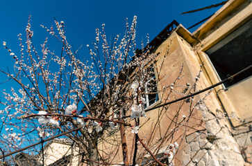 destroyed and burned houses in the city in Ukraine