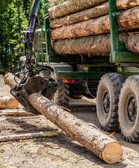 Portable crane on a logging truck. Forestry tractors, trucks and loggers machinery. Forest...