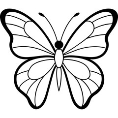     Butterfly vector illustration.
