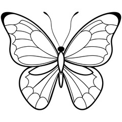     Butterfly vector illustration.
