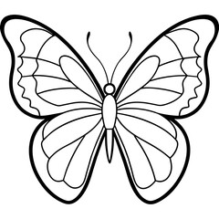     Butterfly vector illustration.
