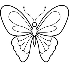     Butterfly vector illustration with line art..
