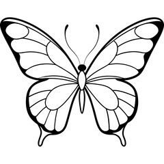     Butterfly vector illustration with line art..
