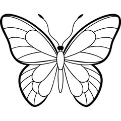     Butterfly vector illustration with line art..
