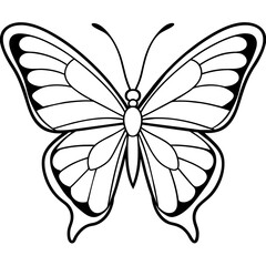 Fototapeta premium Butterfly vector illustration with line art.. 