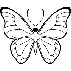     Butterfly vector illustration with line art..
